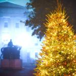 Foggy Christmas Tree at the North Carolina State Capitol