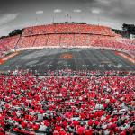 Black and White and Red NC State Wolfpack Football