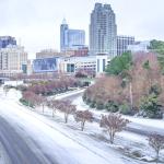 February 2015 Snowstorm Raleigh