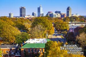 Downtown Raleigh Fall Foliage 2016