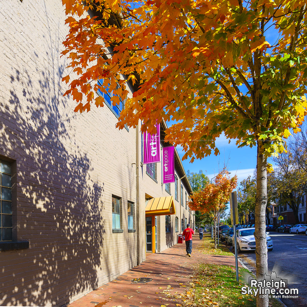 Artspace and autumn leaves