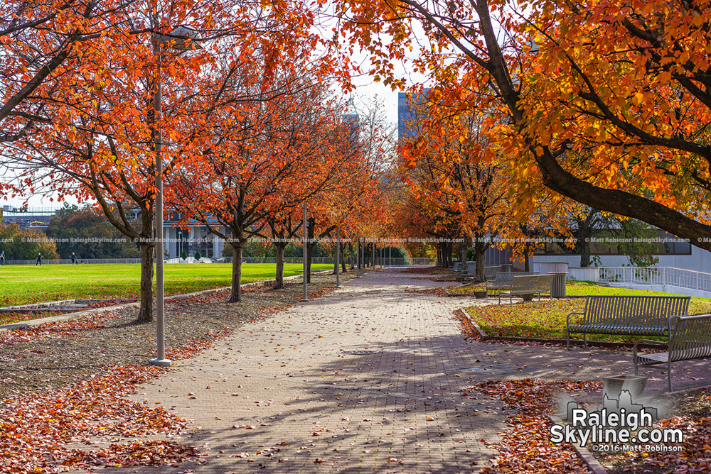 Halifax Mall in the fall