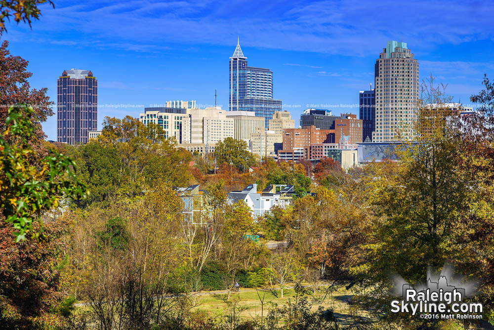 Raleigh Skyline with Fall Colors