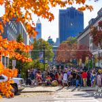 Fall Colors at Bicentennial Plaza