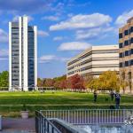 Halifax Mall in the fall