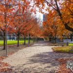 Halifax Mall in the fall