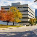 Autumn Colors on Salisbury Street