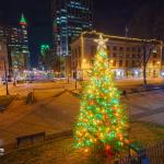 Raleigh Christmas Tree on Fayetteville Street