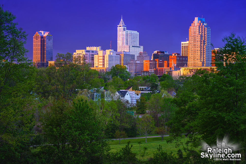 Dorothea Dix Park sunset with Raleigh Skyline