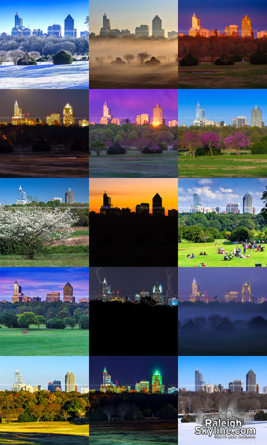 Moods of Raleigh - Raleigh Skyline landscapes from Dorothea Dix Park