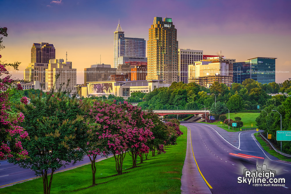 Setting sun with Crape Myrtle trees and the Raleigh Skyline