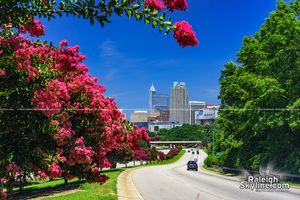 Raleigh Skyline