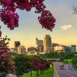 Summer blooms over Raleigh