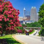 Crape Myrtle trees and the Raleigh Skyline