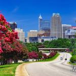 Crape Myrtle trees and the Raleigh Skyline from South Saunders