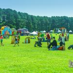 Scenes from Destination Dix festival 2016