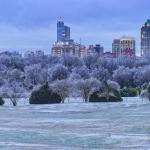 Raleigh rises over icy trees after the snowstorm at dusk