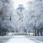 Ice covered trees lean into Hillsborough Street