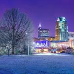 Downtown Raleigh at night with glassy tree covered in ice