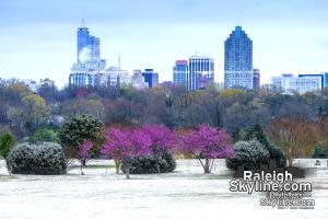 An Early Spring 2017 in Raleigh