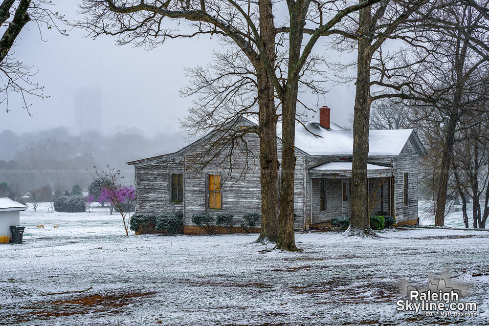 Flower cottage at Dorothea Dix in the early spring snow