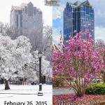 Tale of two Februarys in Raleigh