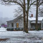 Flower cottage at Dorothea Dix in the early spring snow