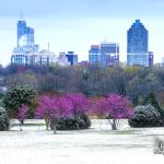 Downtown Raleigh, spring and snow from Dorothea Dix Park