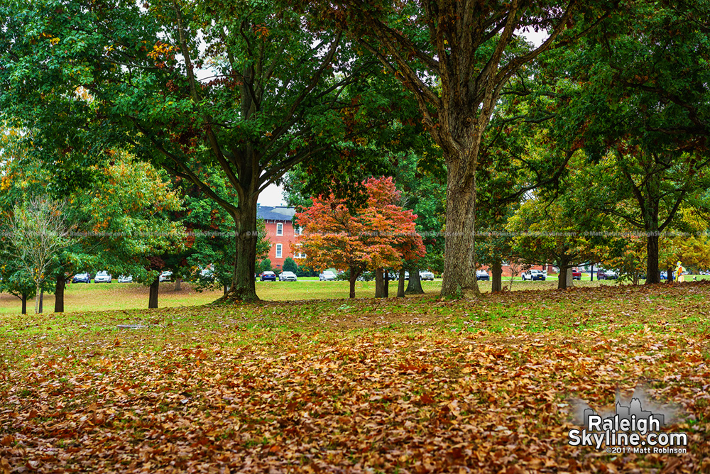 Fall colors at Dorothea Dix Park