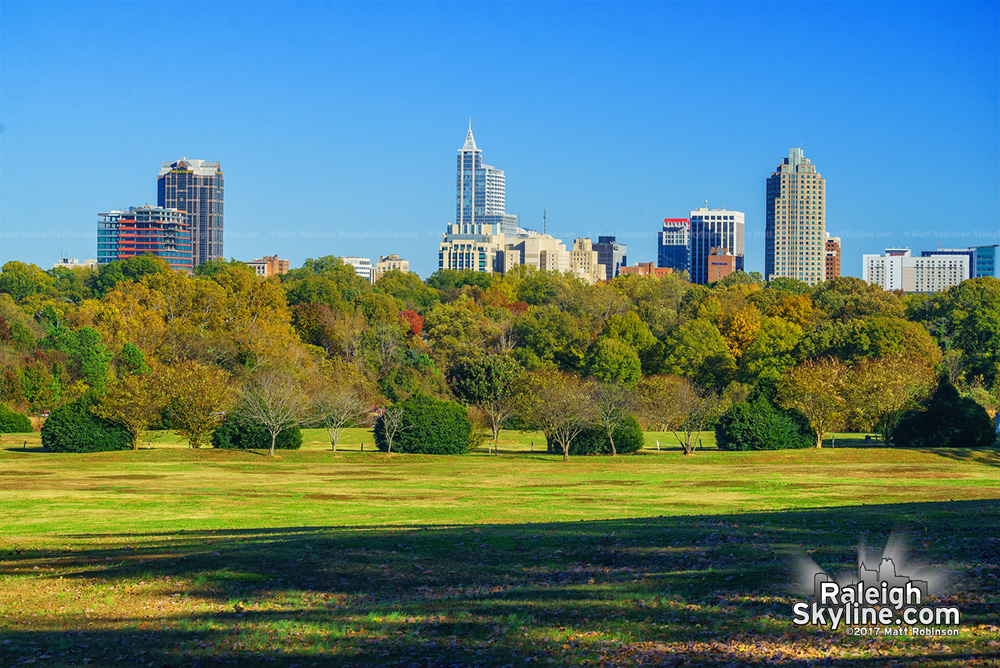 Raleigh skyline from Dix Park