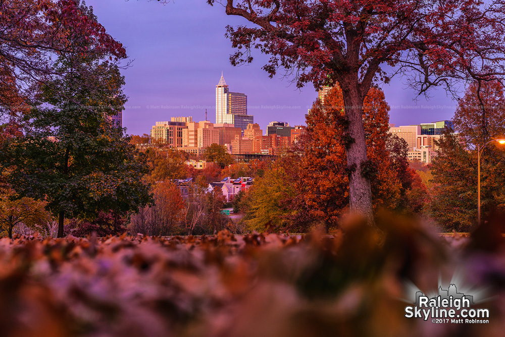 Color sunset with autumn leaves and Raleigh skyline