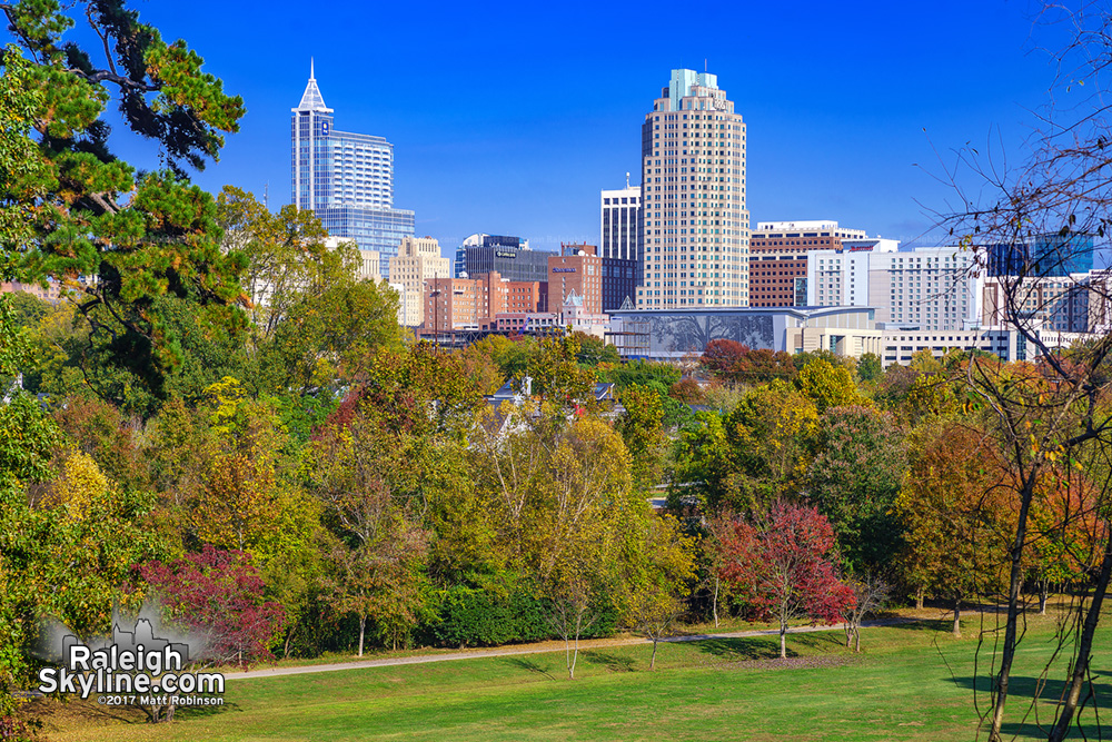 View of Raleigh after invasive species clearing from Dix Park