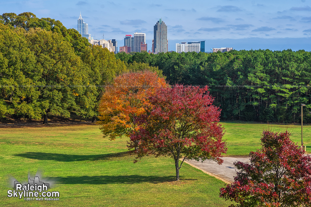 Red and Orange trees at Dorothea Dix Park