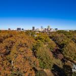 Raleigh rises above autumn colors