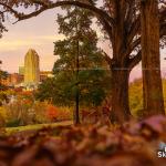 Fall leaves from Dix Park