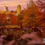 Fall leaves and downtown Raleigh from Dix Park