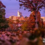 Color sunset with autumn leaves and Raleigh skyline