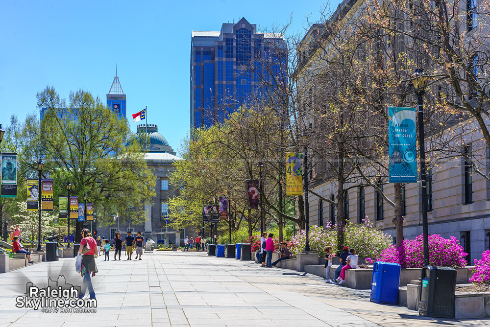 Azaleas in bloom from Bicentennial Plaza