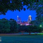 Lush leaves at Dix Park