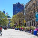 Azaleas in bloom from Bicentennial Plaza