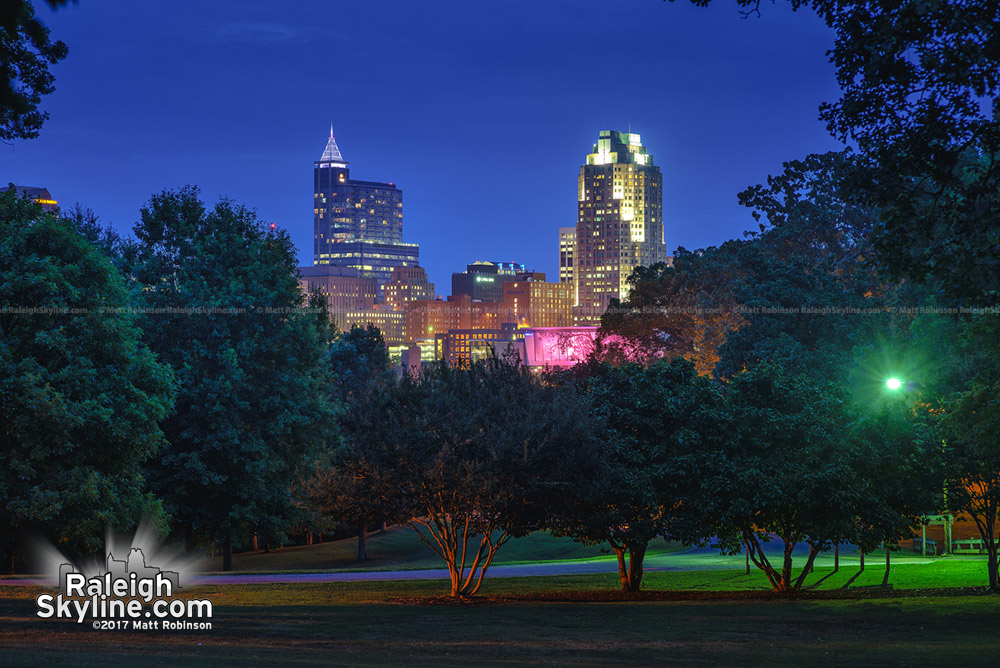 Skyline at night from Dix Park