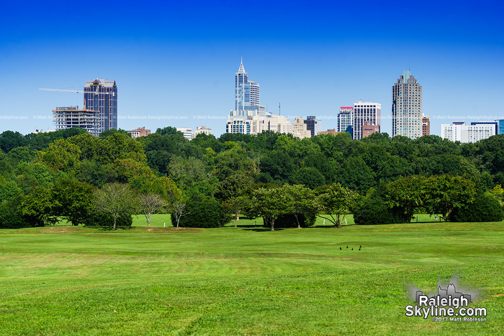 Sunny skyline from Dix Park