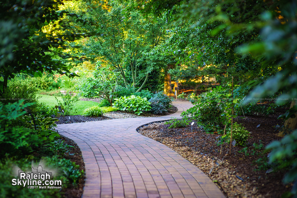 Path at JC Raulston Arboretum