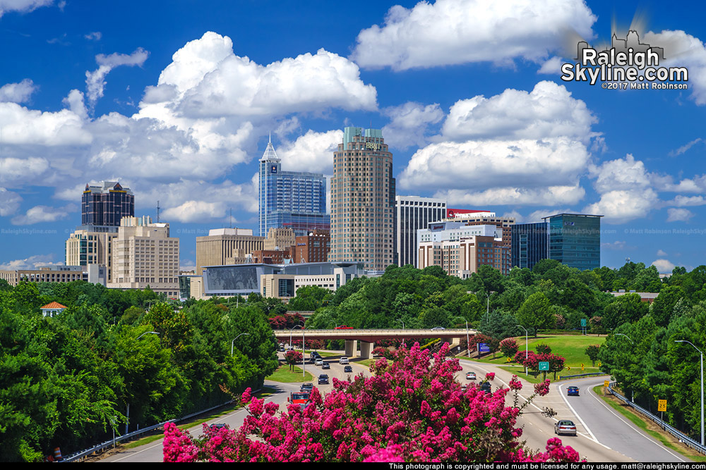 Cumulus clouds over the Raleigh skyline with blooming Crepe Myrtles -Summer 2017