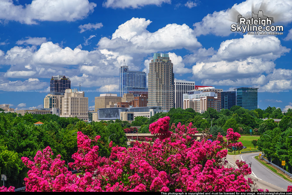 Cumulus clouds over the Raleigh skyline with blooming Crepe Myrtles -Summer 2017