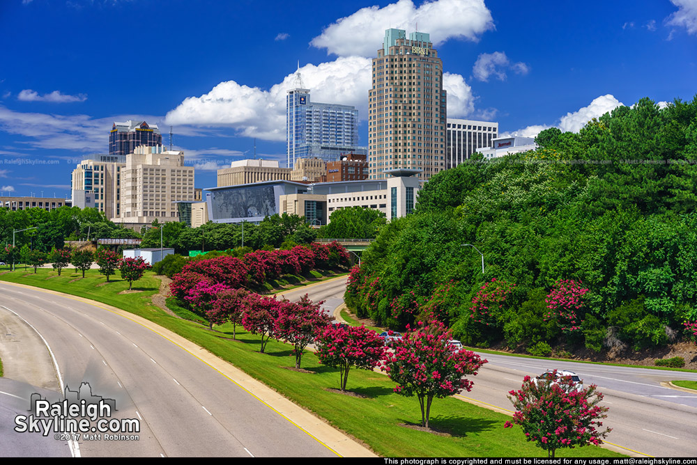 Cumulus clouds over the Raleigh skyline with blooming Crepe Myrtles -Summer 2017