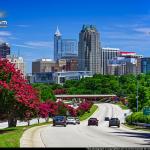 Crepe Myrtles and downtown Raleigh 2017