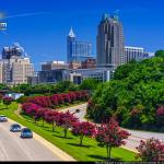 Crepe Myrtles line McDowell Street with downtown Raleigh 2017