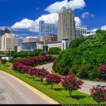 Cumulus clouds over the Raleigh skyline with blooming Crepe Myrtles -Summer 2017