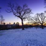 Raleigh snowy sunrise